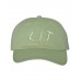 Champagne Papi Font "Lit" Low Profile Dad Hat Baseball Cap  Many Styles  eb-72452698